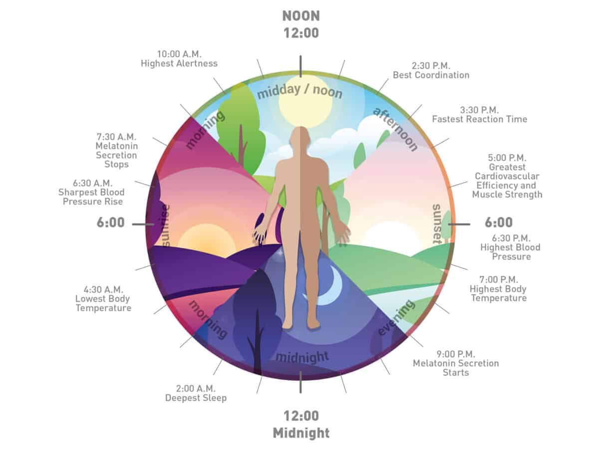 circadian rhythm wake up time